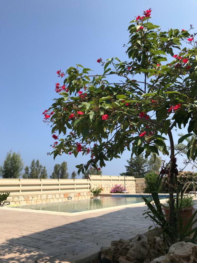 Savvas Villa 阿尔加卡 外观 照片
